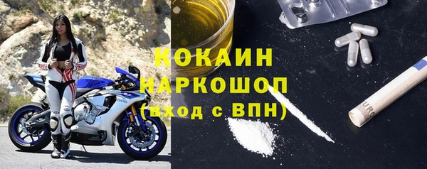крисы Алексин