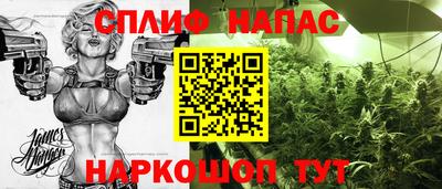 прущие грибы Тверь