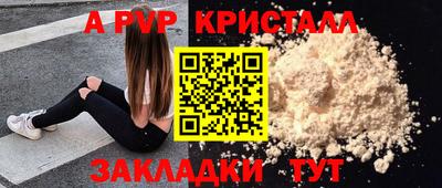 прущие грибы Тверь