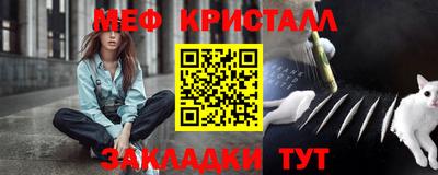 прущие грибы Тверь