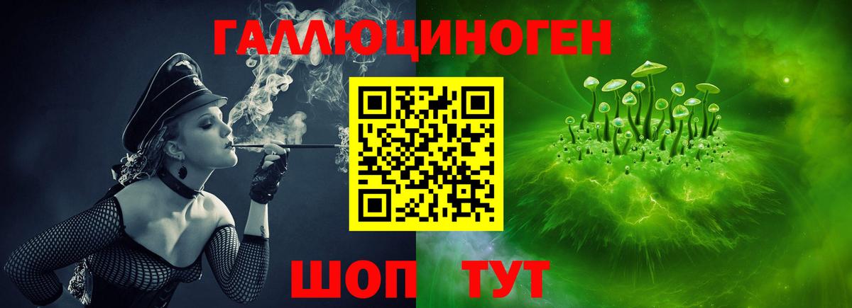 Галлюциногенные грибы GOLDEN TEACHER  Вход с VPN  купить наркоту  Кондопога 