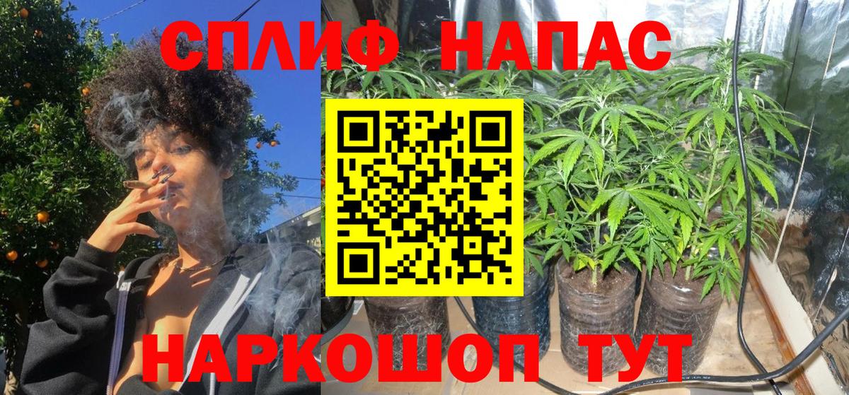 Бошки марихуана план Кондопога